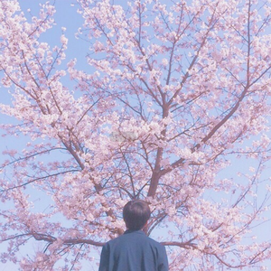 暴力肉体进入HDⅩXXX
